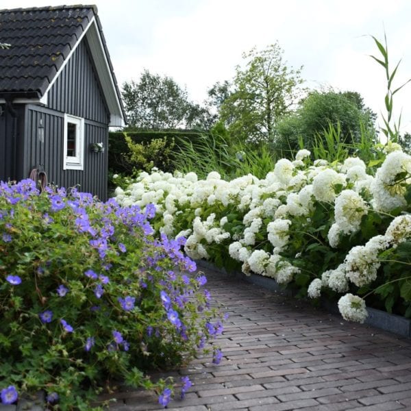 Tuinontwerp