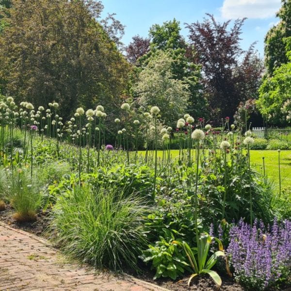 Tuinonderhoud