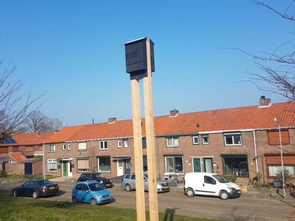 Brunea Hoveniers